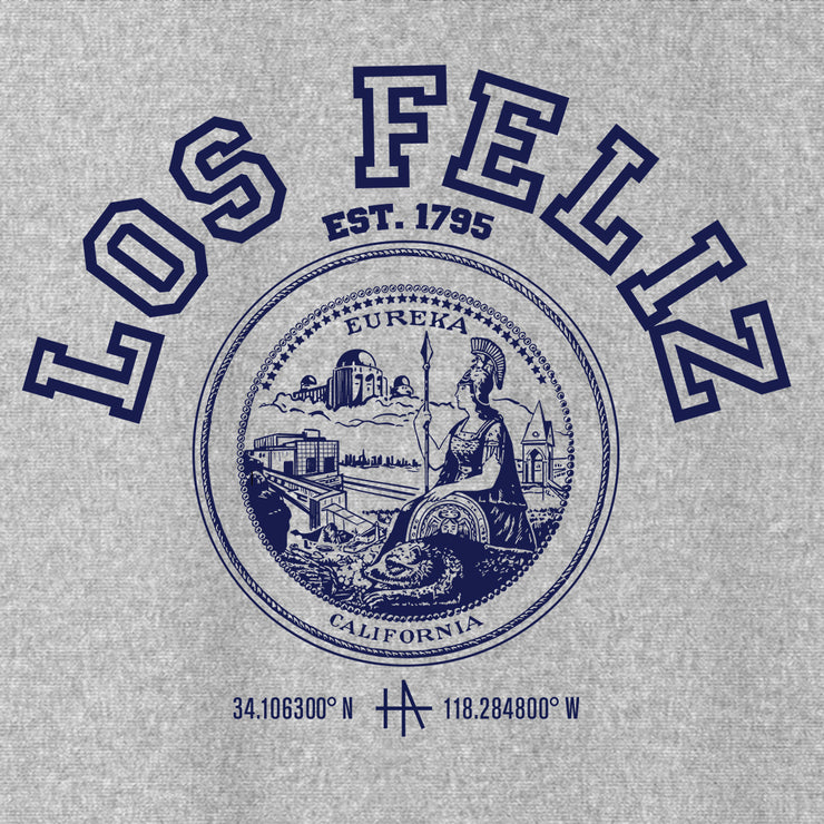 Los Angeles Los Feliz pullover hoodie in navy on grey / gray - classic vintage style